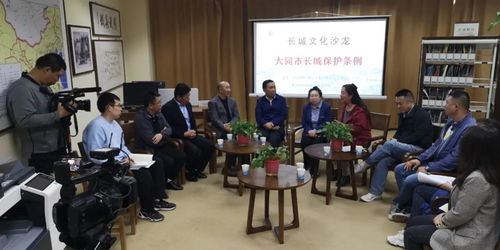 大同長城保護條例 文化沙龍第三期共獻良策，藝術活動策劃為保護賦能